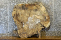 side_image_2